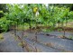 188 Monbulk Road, Kallista VIC 3791