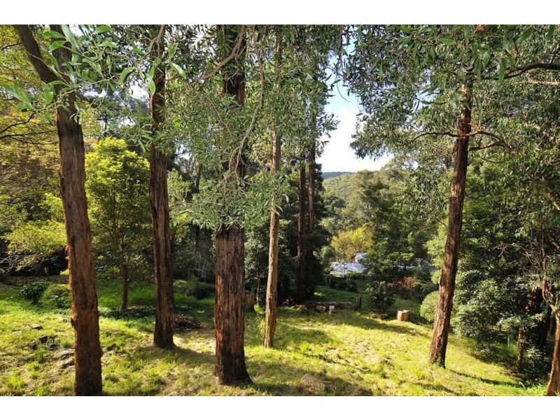 15 Peters road, Belgrave VIC 3160