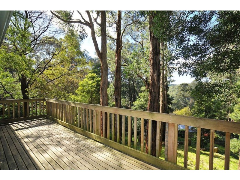 15 Peters road, Belgrave VIC 3160