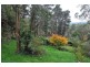 73-75 Belgrave-Gembrook Road, Belgrave VIC 3160