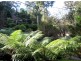 5 Florence Avenue, Upwey VIC 3158