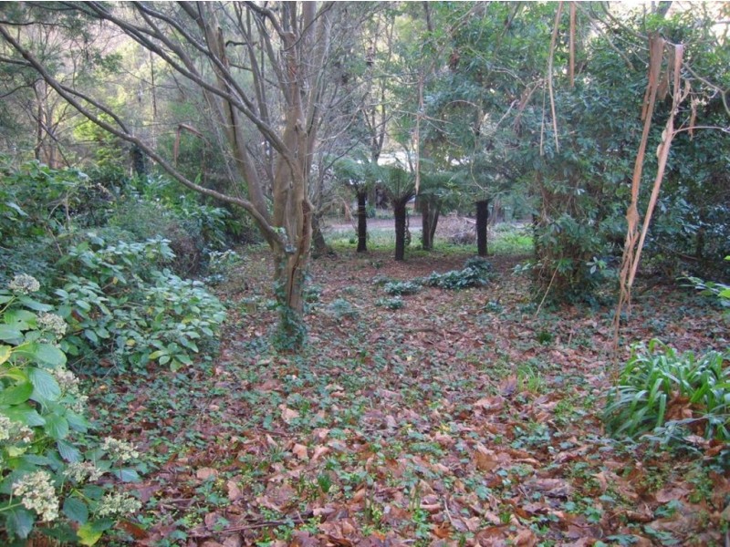 6A Rivington, Kallista VIC 3791