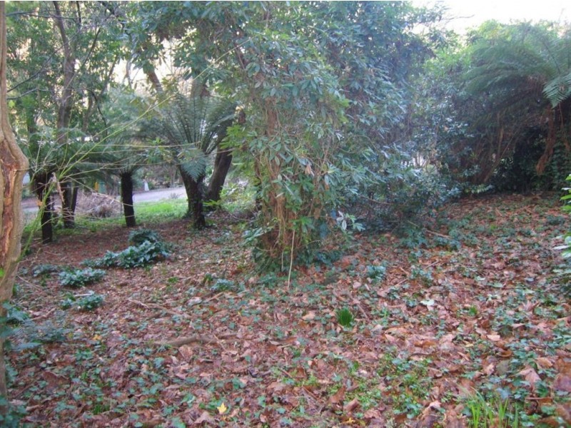 6A Rivington, Kallista VIC 3791