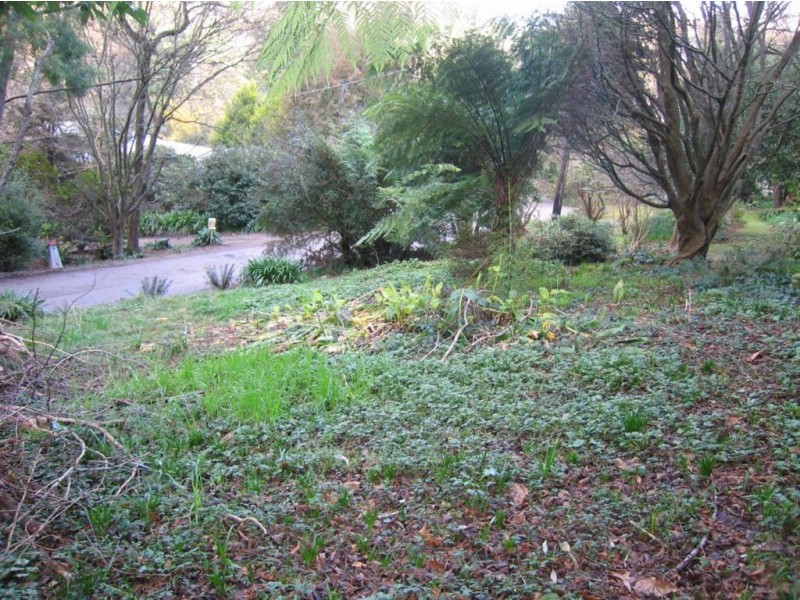 6A Rivington, Kallista VIC 3791