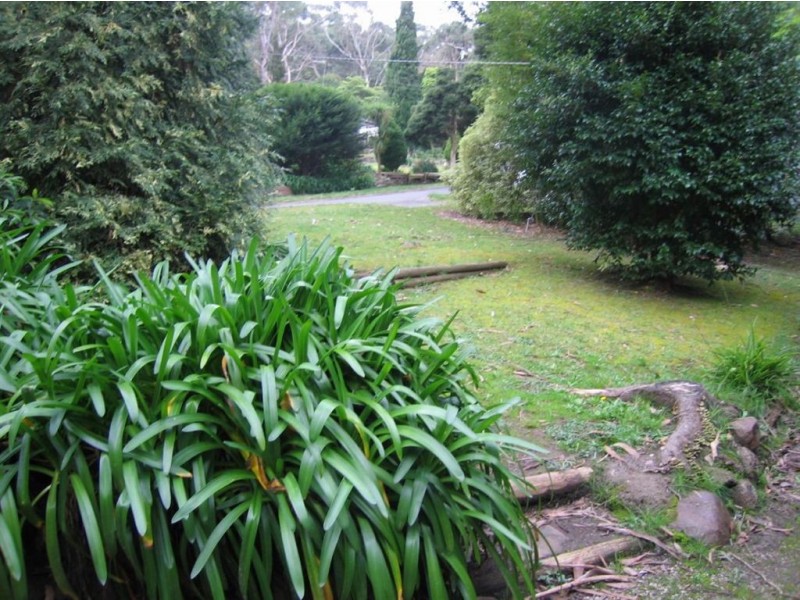 48 leonard street, Upwey VIC 3158