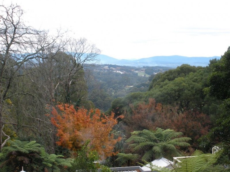 56 Kallista-Emerald Road, The Patch VIC 3792