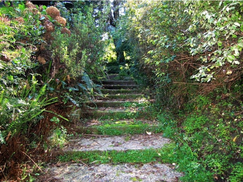 5 Rocksleigh Avenue, Tecoma VIC 3160