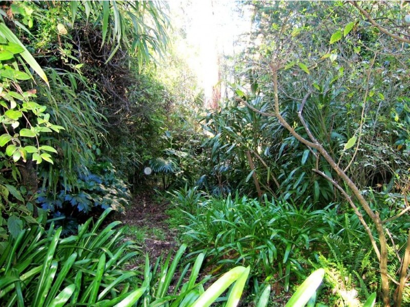 5 Rocksleigh Avenue, Tecoma VIC 3160