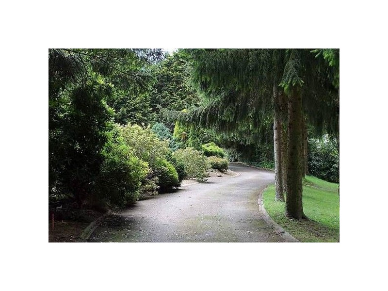 109 Hilton Road, Sassafras VIC 3787