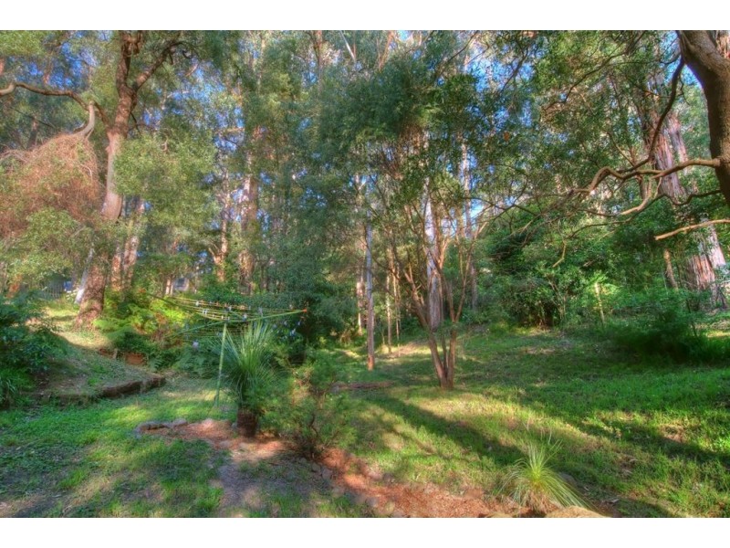 8 Sandells Rd, Tecoma VIC 3160