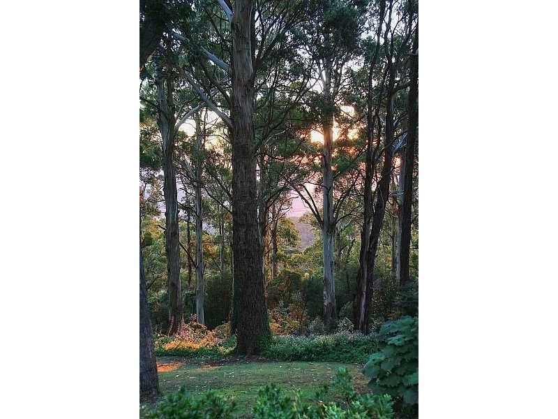 6 Duncans Lane, Ferny Creek VIC 3786