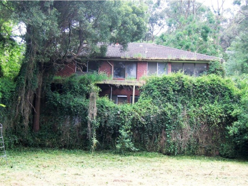 16 Blackwood Street, Tecoma VIC 3160