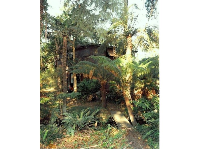 16 Blackwood Street, Tecoma VIC 3160