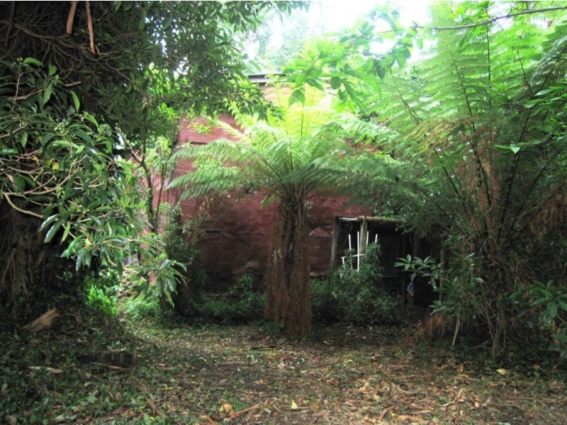 16 Blackwood Street, Tecoma VIC 3160