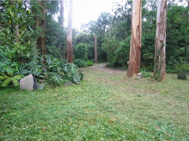 16 Blackwood Street, Tecoma VIC 3160