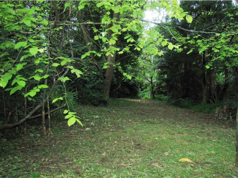 16 Blackwood Street, Tecoma VIC 3160