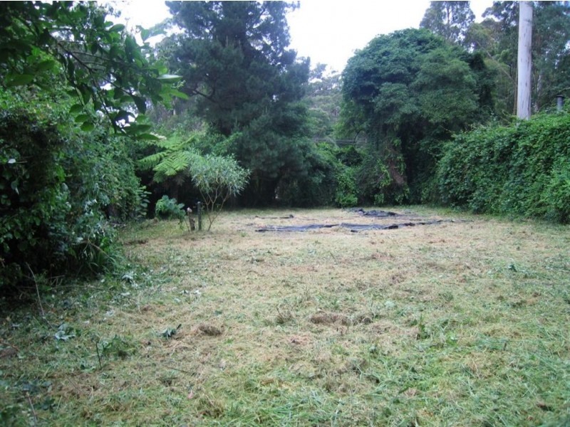 16 Blackwood Street, Tecoma VIC 3160