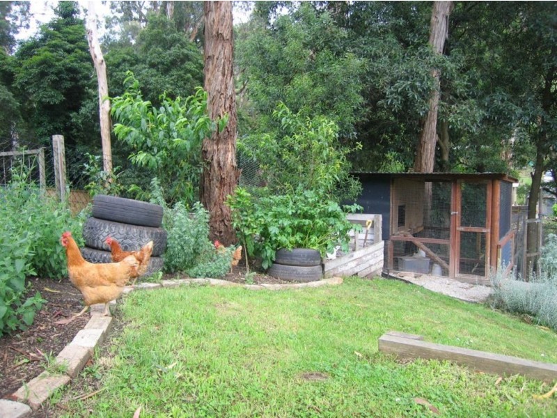 8 royal street, Upper Ferntree Gully VIC 3156