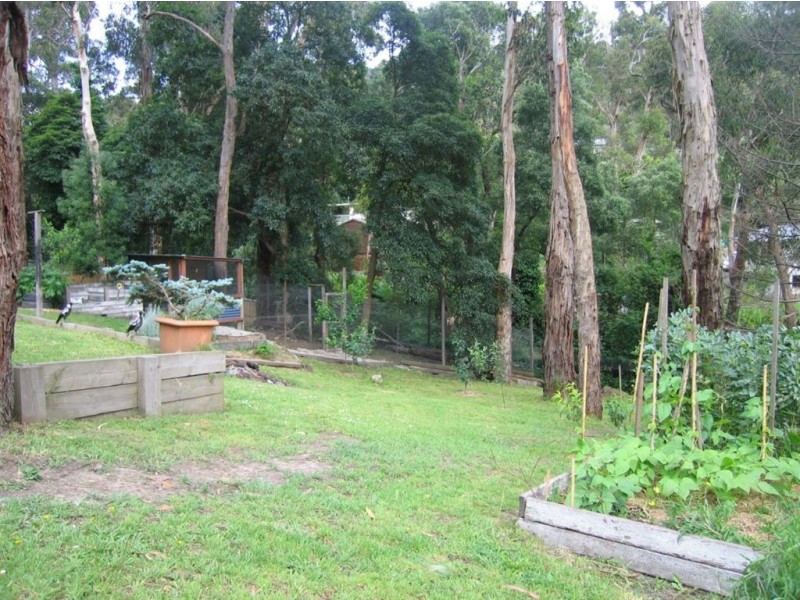 8 royal street, Upper Ferntree Gully VIC 3156