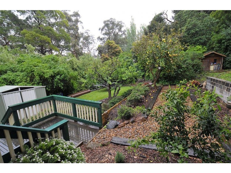 17 Wattle Ave, Belgrave VIC 3160