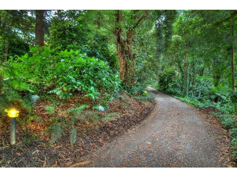 3 Guilfoyle Drive, Sassafras VIC 3787