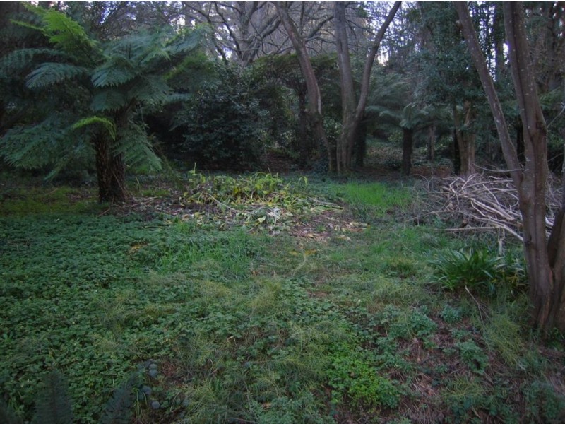 6A Rivington ave, Kallista VIC 3791