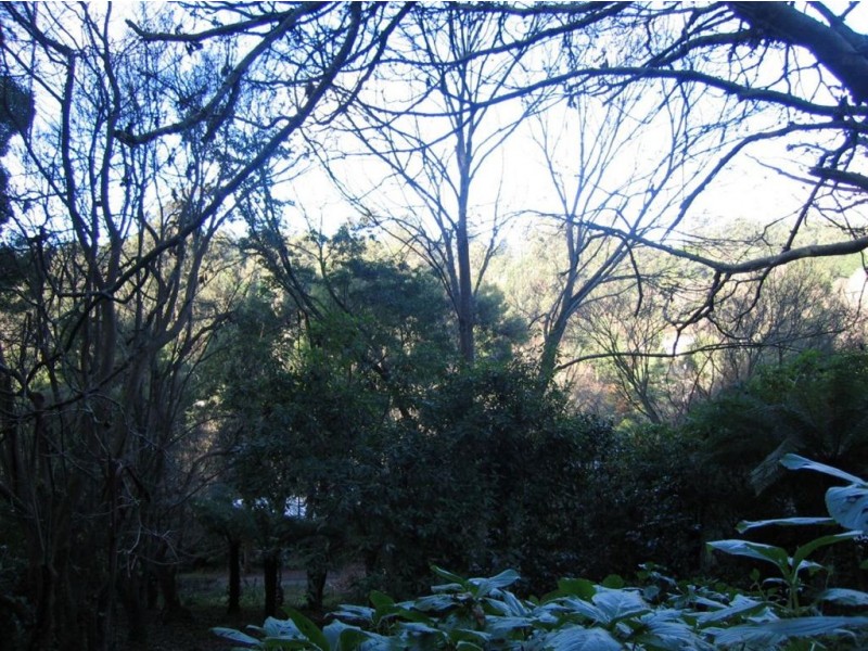 6A Rivington ave, Kallista VIC 3791