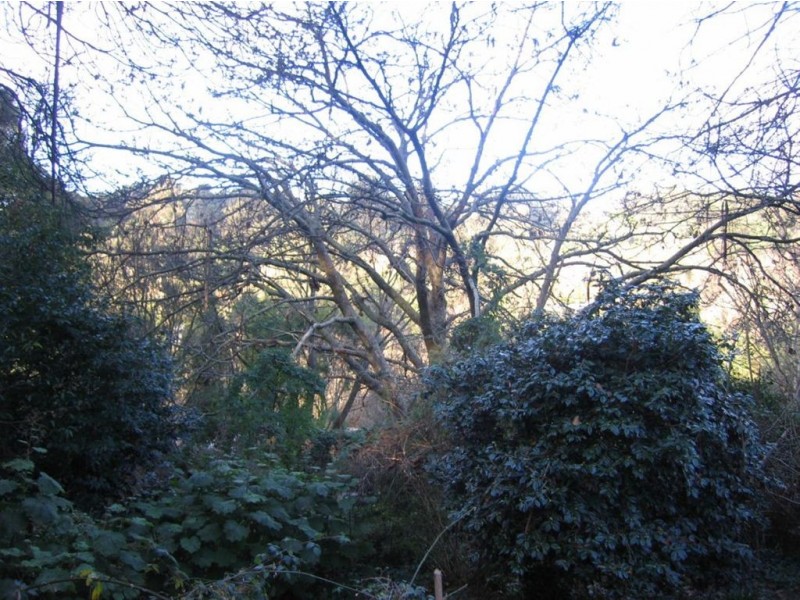 6A Rivington ave, Kallista VIC 3791