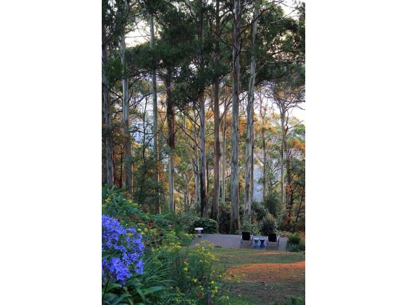 6 Duncans Lane, Ferny Creek VIC 3786