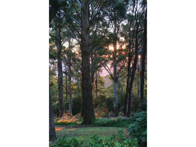 6 Duncans Lane, Ferny Creek VIC 3786