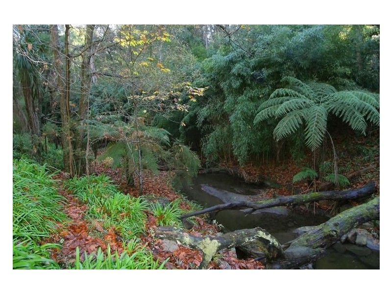 139 Mount Morton Road, Belgrave Heights VIC 3160