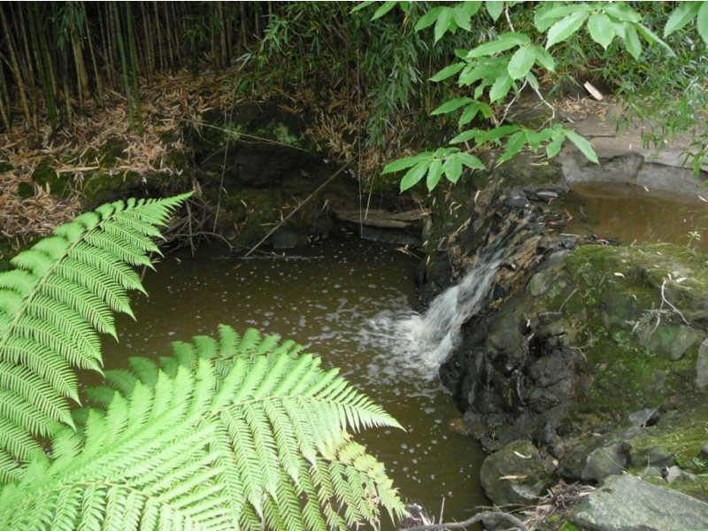 139 Mount Morton Road, Belgrave Heights VIC 3160