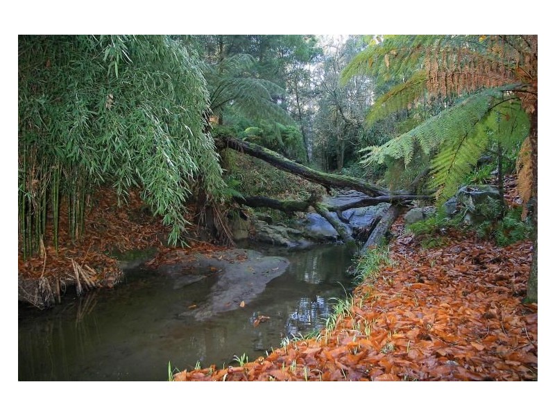 139 Mount Morton Road, Belgrave Heights VIC 3160