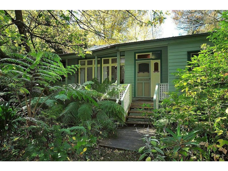 19 Olive Grove, Tecoma VIC 3160