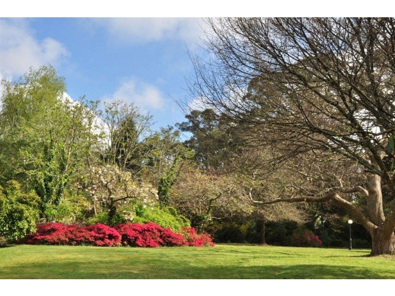 59 One Tree Hill Road, Ferny Creek VIC 3786