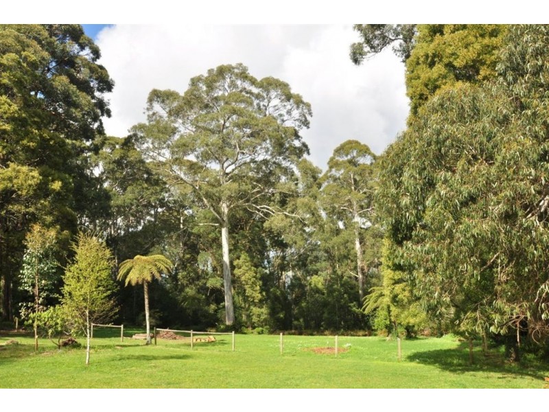 59 One Tree Hill Road, Ferny Creek VIC 3786