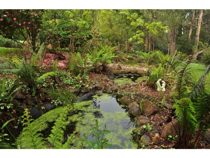 59 One Tree Hill Road, Ferny Creek VIC 3786