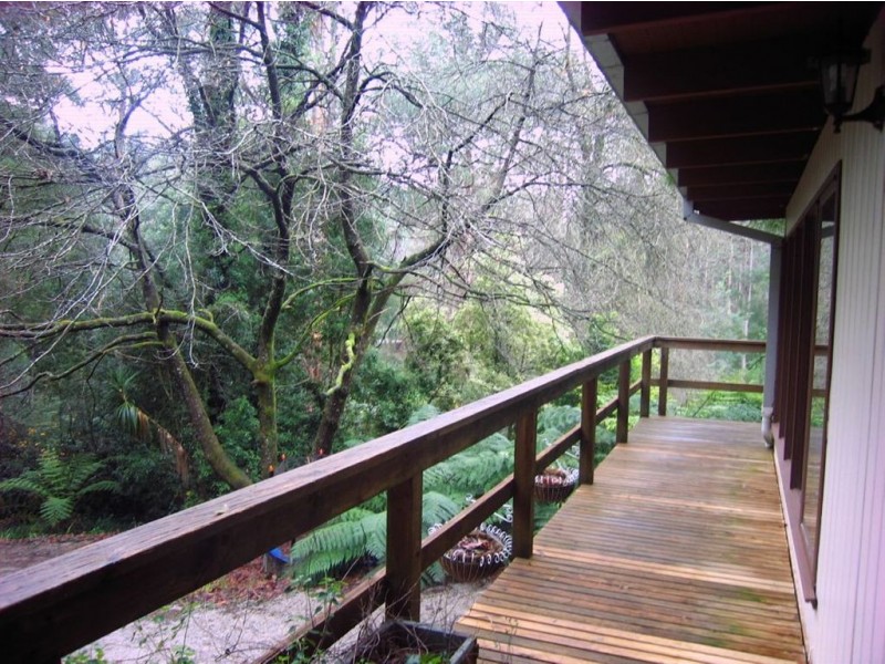 84 Sassafras Creek Road, Kallista VIC 3791