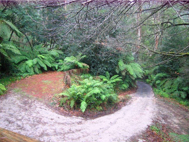 84 Sassafras Creek Road, Kallista VIC 3791