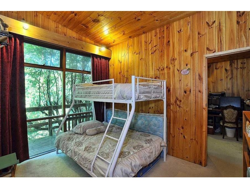 84 Sassafras Creek Road, Kallista VIC 3791