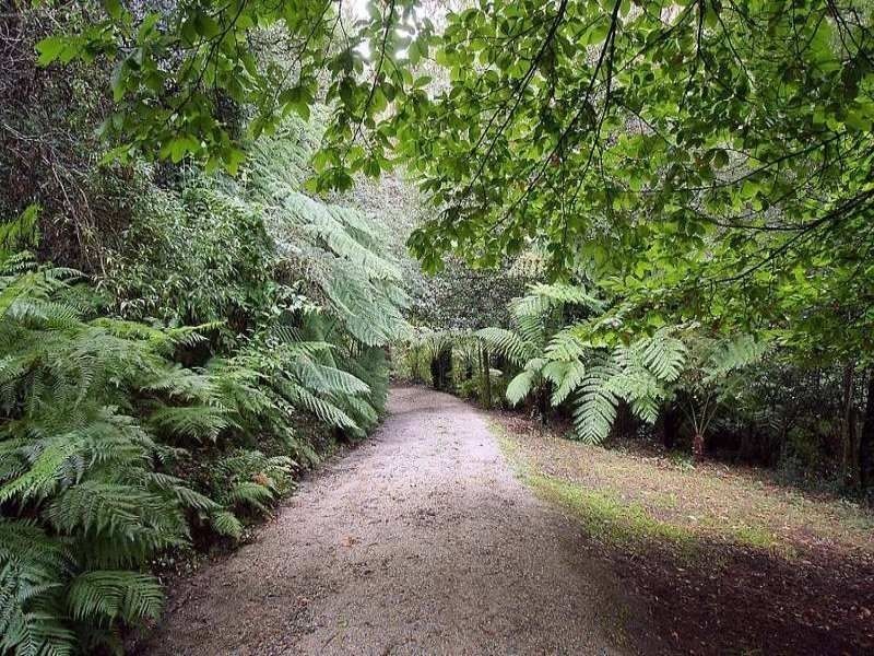 84 Sassafras Creek Road, Kallista VIC 3791