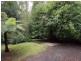 84 Sassafras Creek Road, Kallista VIC 3791