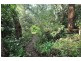 2 Ross Street, Tecoma VIC 3160