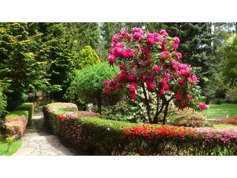 109 hilton road, Sassafras VIC 3787