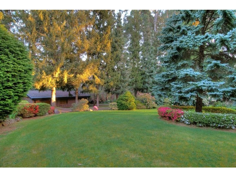 109 hilton road, Sassafras VIC 3787