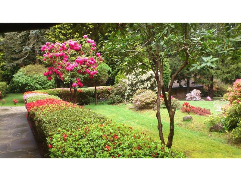 109 hilton road, Sassafras VIC 3787