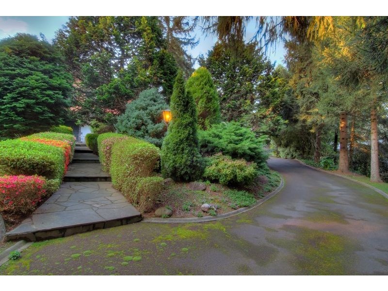 109 hilton road, Sassafras VIC 3787