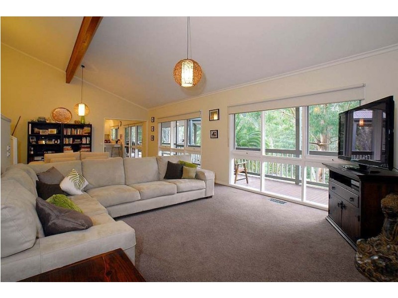 13 Bellbird Street, Belgrave VIC 3160