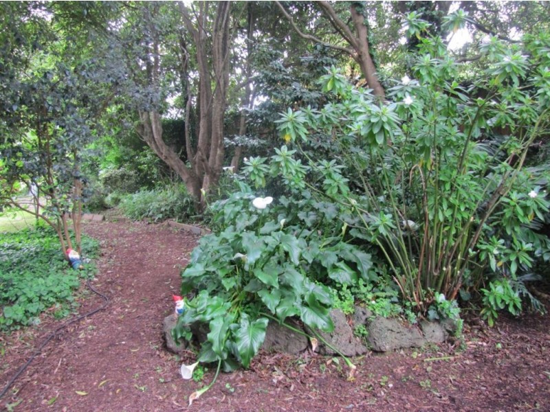 9 Campbell street, Tecoma VIC 3160