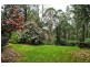 10 Lennox Grove, Sassafras VIC 3787